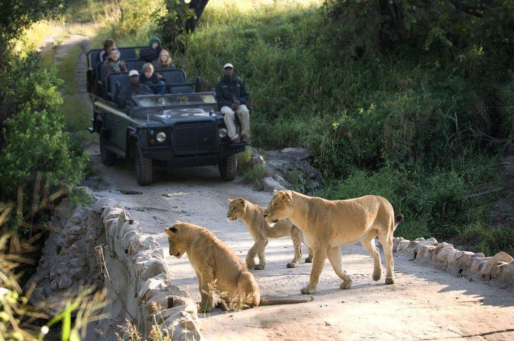 Lion Sands - Tinga Lodge Skukuza Eksteriør billede
